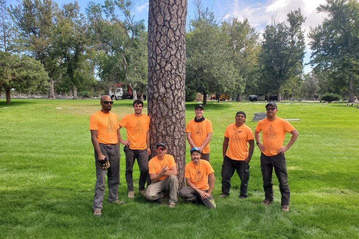 The Garrett Tree Service crew in Colorado Springs