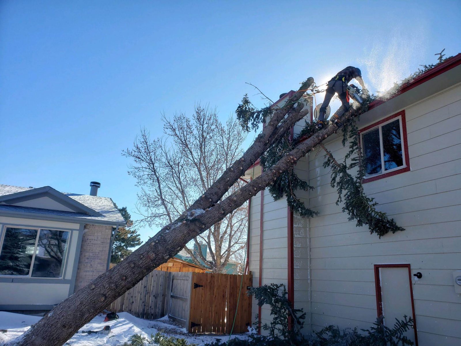 Storm Cleanup in Colorado Springs by Garrett Tree Service