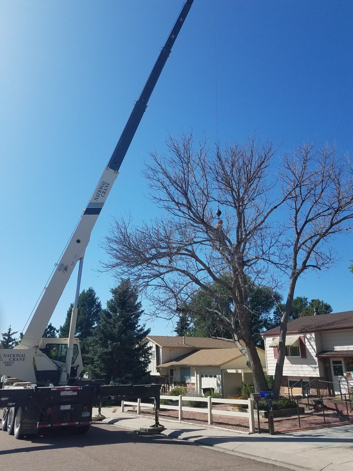 Garrett Tree Service bucket truck removing a dead tree in Colorado Springs